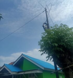 IMG-20251206-WA0005~2