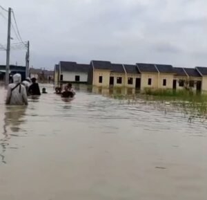 IMG-20260309-WA0000~2