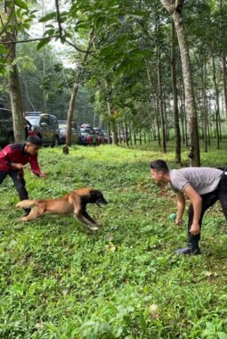 K9 Polda Jateng Asah Kemampuan di Salatiga: Deteksi Jenazah Makin Akurat dan Cepat