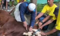 Idul Adha di Mata Sholly Shobirin: Mengajarkan Tentang Arti Keikhlasan, Pengorbanan dan Ketulusan