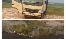 Bau Busuk Menyengat, Diduga Oknum Pengusaha Peternakan Ayam Buang Limbah Kotoran Sembarangan di Desa Bantar Panjang